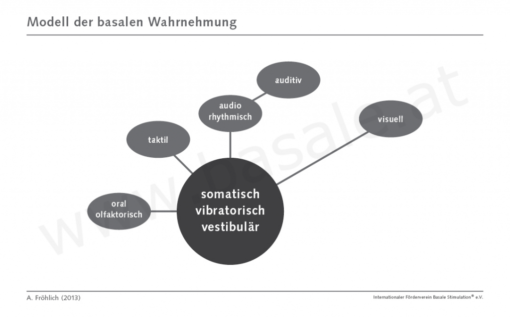 Modell der basalen Wahrnehmung